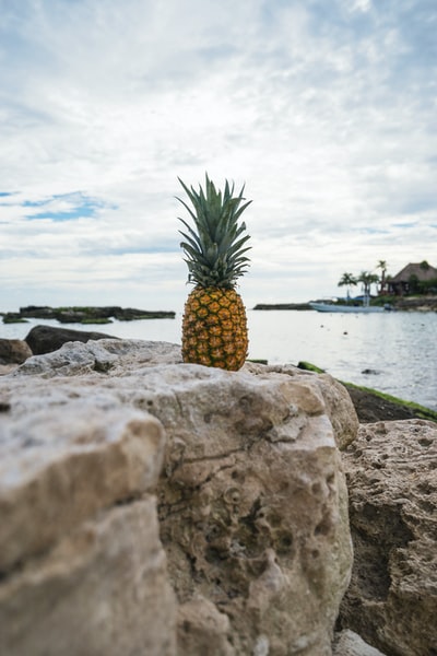 黄色的菠萝在灰色的岩石附近的水域在白天
